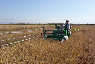 Plot harvester (mini plot combine)2